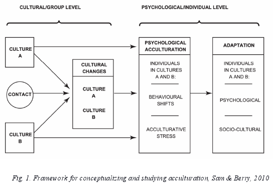 Fig. 1. Framework for conceptualizing and studying acculturation, Sam & Berry, 2010